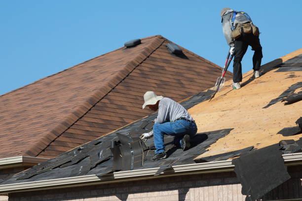 Best Asphalt Shingle Roofing  in Clayco, MO
